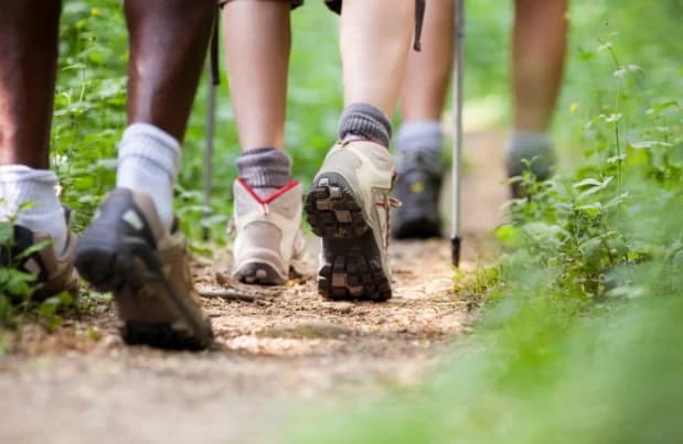 Marcheurs en chemin de randonnée — chaussures et bâtons sur sentier herbeux